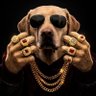 Crypt Dave🎒's profile picture