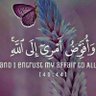 💛عـــــمـــــلاقـــ،الــــــريــــاضـــــــــة💚 的头像