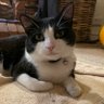 Profilbild von Jack
