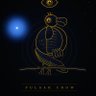 Pulsar_Crow's profile picture