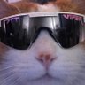 Profilbild von PLAYERS