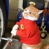 Фото профиля Gatinho Ferrarista