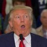 Gay Donald profil fotoğrafı