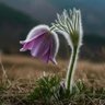 Фото профиля 부유한 삶을 산다