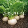 Фото профиля 株で大損さん