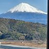 SHIHO's profile picture