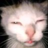 Juan Perez's profile picture