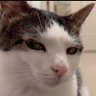 omg's profile picture