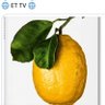 Profilbild von 🌐 ET TV 🌐