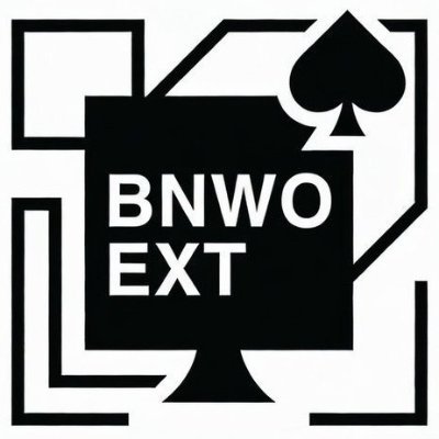 BNWO_EXT's profile picture