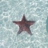 MAGA Angler profil fotoğrafı