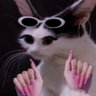 Bianquinha Faz Moda's profile picture