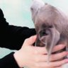 めるミー's profile picture