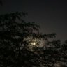 Фото профиля م