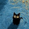 junji's profile picture