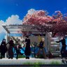 Profilbild von 無糖帝国(建国予定)