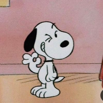 cam's profile picture