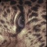 حَّـ profil fotoğrafı
