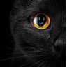 ن's profile picture