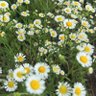 Фото профиля なお