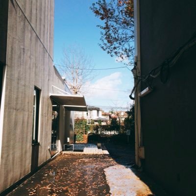 atmark_0922's profile picture