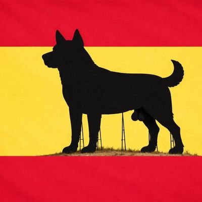Rammar10544969's profile picture