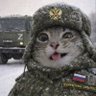 Profilbild von Министерство Пропаганды Z🇷🇺