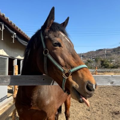 ヒュミドール(公式)'s profile picture