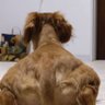 Фото профиля どいとうかつあき