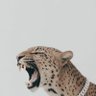 Dav's profile picture