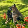 Freya22 profil fotoğrafı