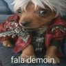 Profilbild von obi