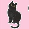 じゅえりー 的头像