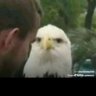 Luke Russell's profile picture
