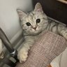 Profilbild von Mavi Sezen