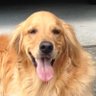 Garry L.'s profile picture