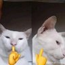 그림 그리는 걸 좋아하지 않아요.🔞 profil fotoğrafı