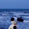 Parody Snoopy ็ๅคดๅ