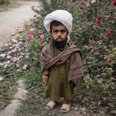 Mullah_pichkari's profile picture