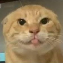 MiaoJiJiang1's profile picture