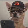 Ball knower 🏈's profile picture