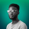 Profilbild von Theophilus E. Oni