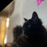 marıo 🌊's profile picture