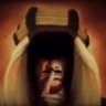 درع الجزيرة⚔️ 🇸🇦's profile picture