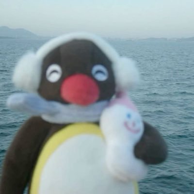 koselitz's profile picture
