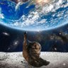 🚀Go to the moon🚀 的头像