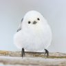 Profilbild von Happy姉さん