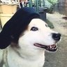 ロック's profile picture