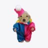 Luan's profile picture