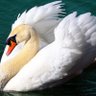 脱离者573 profil fotoğrafı